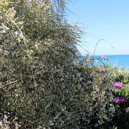 Bed & Breakfast Casa Mazzone